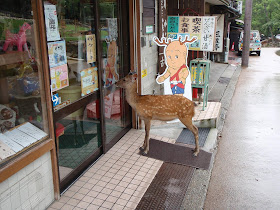 funny animals of the week, deer in front of a store
