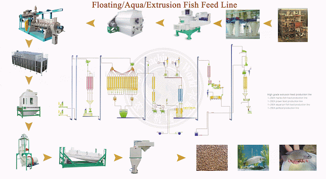 Floating fish feed process line