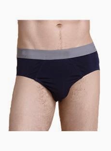 http://www.casasilk.com/Deluxe/Silk-Briefs-103994/