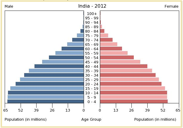 Resultado de imagen de PIRAMIDE DE POBLACION EN INDIA