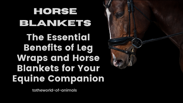 The Essential Benefits of Leg Wraps and Horse Blankets for Your Equine Companion
