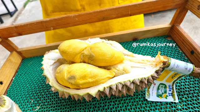 durian-bawor