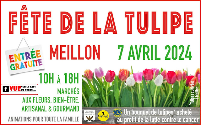 La Fête de la Tulipe Meillon 2024