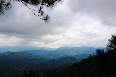 Tree Top Adventure Baguio Skywalk