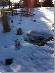 Pond2