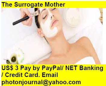  The Surrogate Mother 