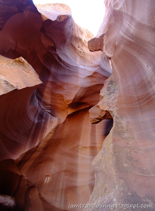 DSCF8675