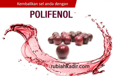 Kebaikan Polifenol Untuk Sel Yang Sihat