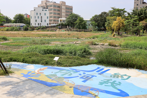 台中大里鳥竹圍公園旱溪河濱步道輕鬆散步，欣賞野鳥生態水岸美景