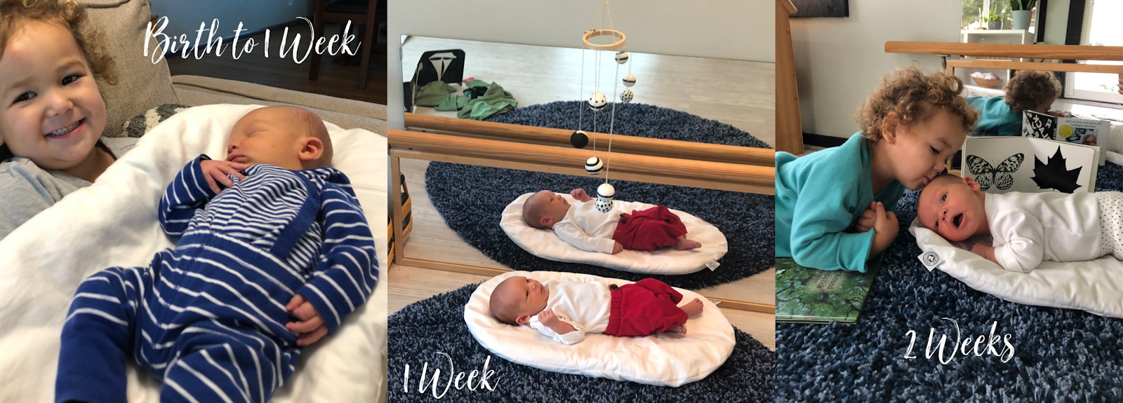  Week By Week Activities for Newborns - Montessori Baby Week 12