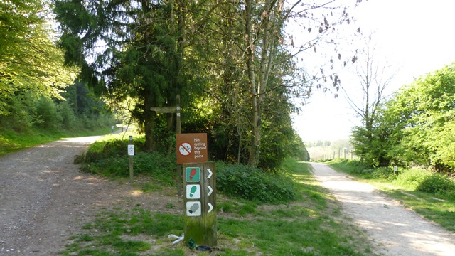 P1010704