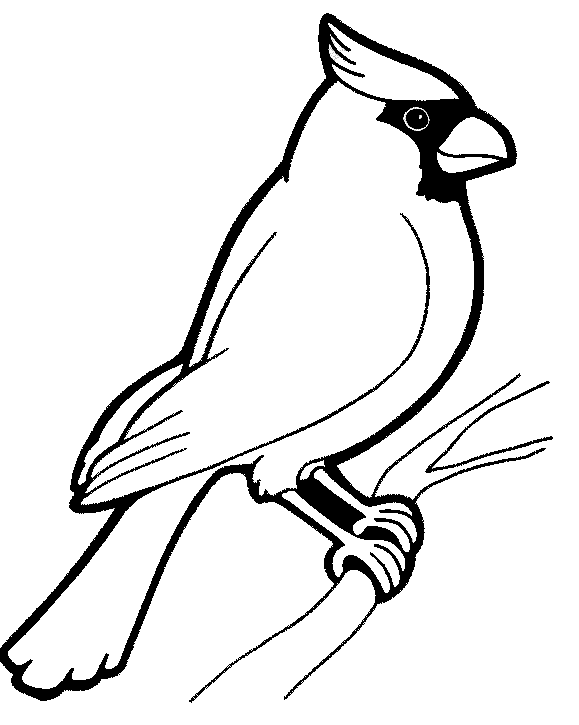 Download Birds Coloring Pages