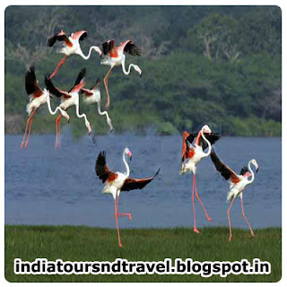 India Tours - Compiling greatest of North & South India Travel Experiences