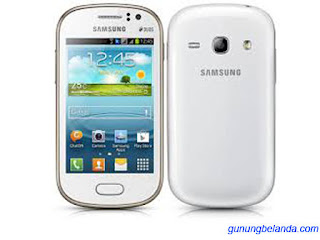 Cara Flashing Samsung Galaxy Fame Duos GT-S6812i