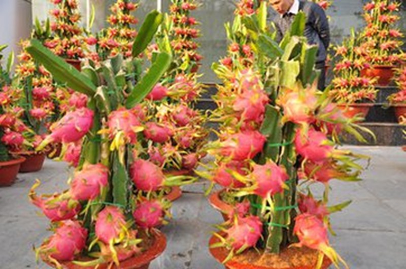 clip_image005