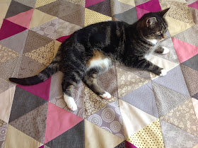 Equilateral Triangle Quilt with Suzi the cat