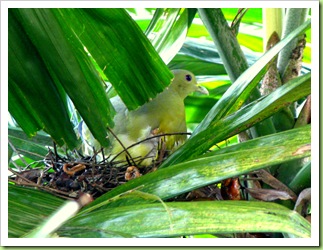 IMG_5864-1