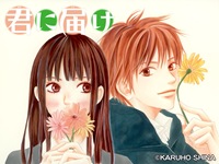 Kimi ni Todoke 