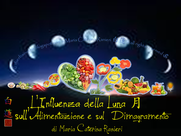 L’Influenza della Luna 月sull’Alimentazione e sul Dimagramento - di Maria Caterina Ranieri