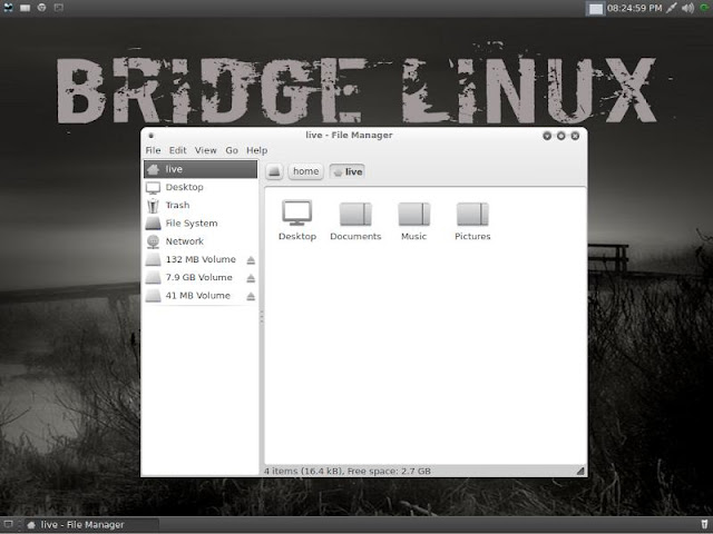Bridge Xfce4