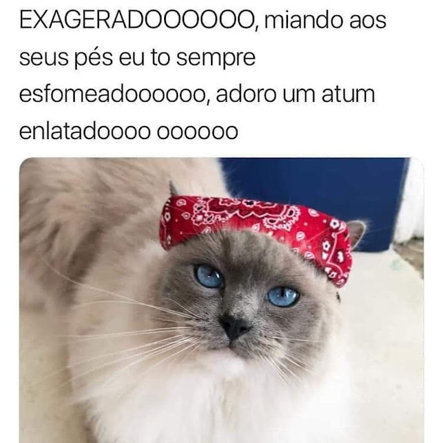 Memes engraçados