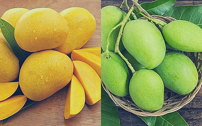 জনপ্রিয় ফল আমের গুণাগুণ