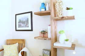 Build this unique Open Shelf for only $20 in lumber!  Free plans and picture tutorial at MyLove2Create.