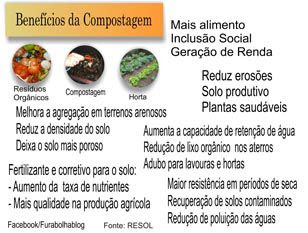 Compostagem: recuperação de solos contaminados