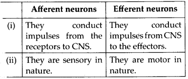 Solutions Class 11 Biology Chapter -21 (Neural Control and Coordination)