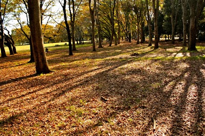 秋の風景