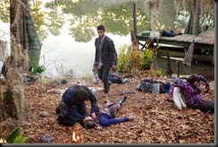 an-explosion-in-the-woods