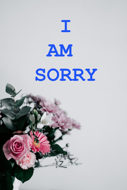 I Am Sorry