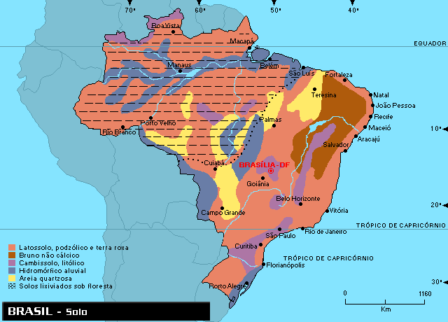 Resultado de imagem para MAPAS DE SOLOS DO BRASIL