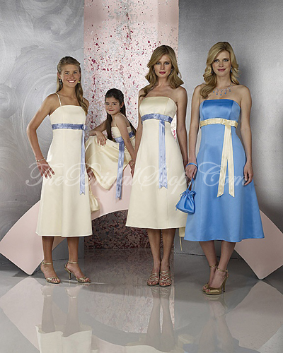 Strapless tea length dress