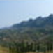 View album