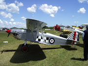 One aircraft that was owned by Dougal was the Isaacs Fury 2 replica ZKDMN . (ns aircraft )