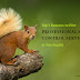 Top 5 Reasons to Hire Professional Squirrel Control Services in San Angelo