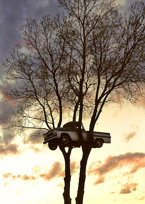 Truck In The Tree Seen On CoolPictureGallery.blogspot.com Or www.CoolPictureGallery.com