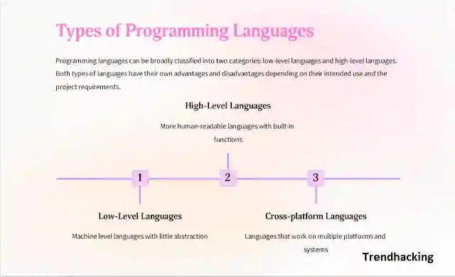 Type of programming language
