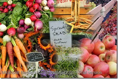 Live_AutoCollage_farmers market