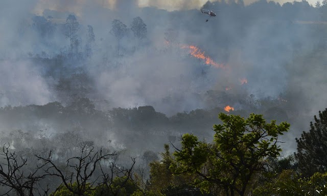 Área queimada no Brasil cresce 248% em janeiro