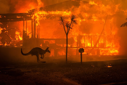 2020, australian bushfire