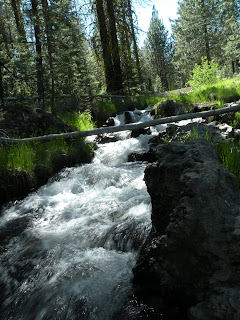 Lassen National Forest, small waterfall on Hat Creek