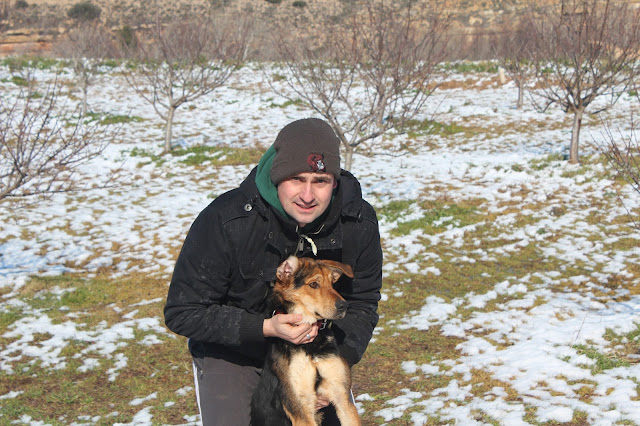 El ebro se cubre de nieve 2013