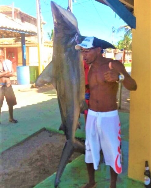 Pescador captura tubarão de dois metros em praia da Bahia