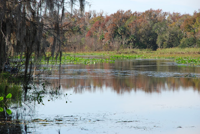 Lower Wekiva River Preserve State Park