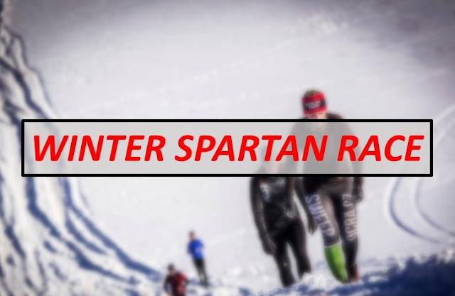https://meziprekazkami.blogspot.com/2019/02/winter-spartan-race-vratislavice-2019.html