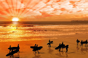 surfers walking on glorious sunset beach (surfers walking on glorious sunset beach)