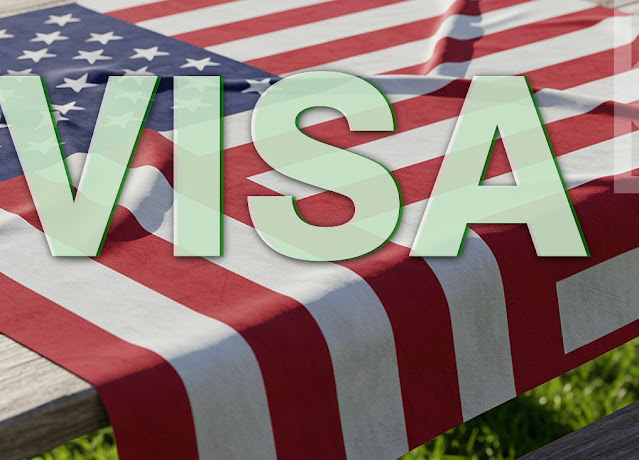 Visa Integrity Fee