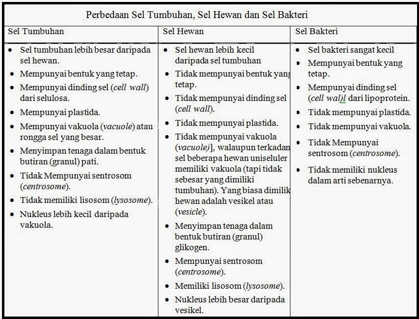 TRY OUT SEL  KELAS  XI  Materi  dan  Soal Biologi